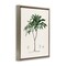 Stupell Industries Coastal Palms Vintage Floating Frame, design by Val Rhodes